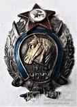 Знак ЧОНУ Части Особого назначения Украины, ВЧК-ГПУ, копия, №0034, 1918г, фото №2