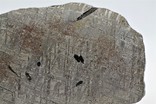 Залізний метеорит Gibeon 119.8 г., з сертифікатом автентичності, фото №5