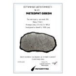 Залізний метеорит Gibeon 119.8 г., з сертифікатом автентичності, фото №11