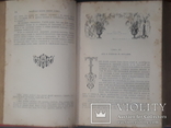 Библейская история 1895 года, фото №10
