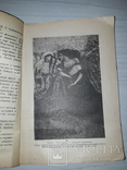 Иллюстрация в книге, журнале и газете 1931, фото №4
