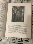 Аркадий Рылов 1937г, фото №6