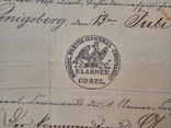Рукописный военный документ 1878 (Пруссия), фото №10