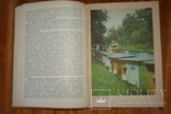 Карпатские пчелы. Справочник. 2-е издание. 1989, фото №5