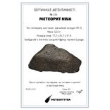 Кам'яний метеорит NWA, 32,5 грам, індивідуал, із сертифікатом автентичності, фото №9