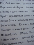 Золотая книга лучших сказок мира , 1992 год, фото №7