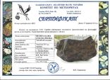 Метеорит Velyka Balka, Україна, із копією сертифікату Комітету по метеоритах НАН України, фото №10