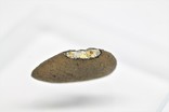 Кам'яний метеорит Челябінськ Chelyabinsk, 3,6 грам, із сертифікатом автентичності, фото №5