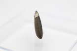 Кам'яний метеорит Челябінськ Chelyabinsk, 3,6 грам, із сертифікатом автентичності, фото №6