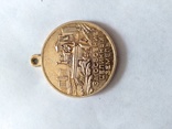 Медаль За освоение целинных земель., фото №4