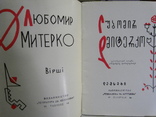 О.Гончар, А.Малишко, Л.Дмитерко, Н.Рибак, В.Козаченко Тбилиси 1964 грузинська мова, фото №4