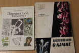 Воспоминание о камне 1958 годЗдраствуй камень 1975, фото №2