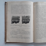 1925 г. Руководство по огородничеству, фото №7