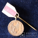 Польша. Медаль "За заслуги при защите страны". Бронзовая степень. Миниатюра.(3), фото №2