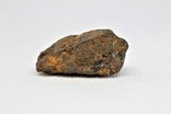 Залізо-кам'яний метеорит Sericho, 15 грам, із сертифікатом автентичності, фото №5
