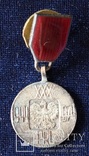 Польша. Медаль "30 лет Народной Польши". Миниатюра.(3), фото №2