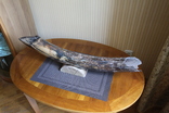 Бивень мамонта поздний Плейстоцен (около 100 тыс лет) вес 4,20 кг, фото №4