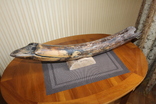 Бивень мамонта поздний Плейстоцен (около 100 тыс лет) вес 4,20 кг, фото №5