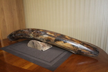 Бивень мамонта поздний Плейстоцен (около 100 тыс лет) вес 4,20 кг, фото №7