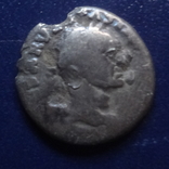 Денарий  Тит  серебро  (Г.7.46), фото №2