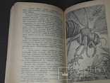 Ян Ларрі - Незвичайні пригоди Карика і Валі, 1991, фото №8