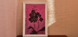 Картина "Орхидеи" Косарев А., фото №3