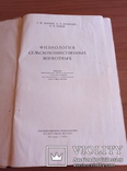 1954 Физиология сельскохозяйственных животных/Азимов Г., фото №5