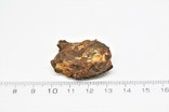 Залізо-кам'яний метеорит Seymchan, 21.3 грам, із сертифікатом автентичності, фото №4