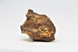 Залізо-кам'яний метеорит Seymchan, 21.3 грам, із сертифікатом автентичності, фото №2