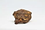 Залізо-кам'яний метеорит Seymchan, 21.3 грам, із сертифікатом автентичності, фото №7