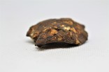Залізо-кам'яний метеорит Seymchan, 21.3 грам, із сертифікатом автентичності, фото №9
