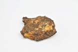 Залізо-кам'яний метеорит Seymchan, 21.3 грам, із сертифікатом автентичності, фото №11