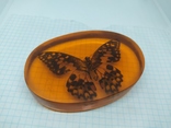 Настольный сувенир или пресс-папье. Крупная бабочка в эпоксидке, фото №6