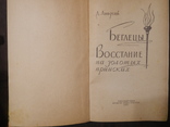 Д.Линдсей. Беглецы. Восстание на золотых приисках.1957г., фото №4