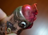 Старая стеклянная новогодняя игрушка на ёлку "Попугай, Птица" №1. Из СССР. Высота 8 см., фото №10