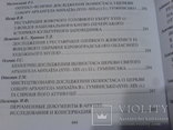 Дослідження реставрція та консервация музейних помяток 8 конференция, фото №11