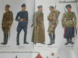 Uniformtafel der Roten Armee.1941г. Оригинал., фото №3