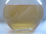  Gloria Vanderbilt perfume 100ml, фото №3