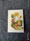 Абкляч почтовой марки СССР 1988года, фото №3