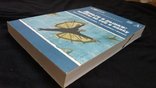 В.Симонян,в.гагин, в.ритасов "деньги и рынки:полёты во сне и наяву", photo number 4