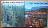 Лесная энциклопедия. В 2-х томах. Москва: Советская энциклопедия, 1985/6, фото №2