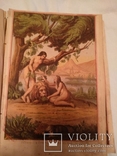 1894 Потерянный рай с эффектными хромолитографиями, фото №7