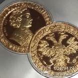 25 рублей 2004 г. (золото+серебро), фото №3