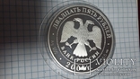 25 рублей 2004 г. (золото+серебро), фото №9