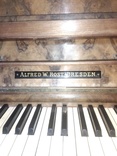 Антикварное немецкое пианино Alfred W. Rost. Dresden., фото №12