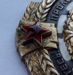 Орден Трудового красного знамени 250208, фото №10