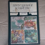 Підшивка Приусадебное хозяйство  № 4,5,6 1986р., фото №2