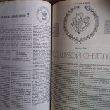 Підшивка Приусадебное хозяйство  № 4,5,6 1986р., фото №5