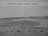 1924 р. Журнал Глобус  № 7-8 Українці в Канаді Київська радіостанція 24 стр.  (537), фото №8