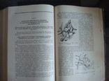 Акушерство,руководство для врачей и студентов,А.И.Петченко 1965г. тир.25тыс., фото №11